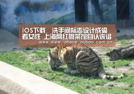 iOS下载_
洗手间标志设计成偷看女性 上海网红粤菜馆自认诙谐却惹众怒(图2) APP下载