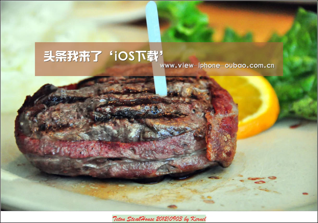 APP下载