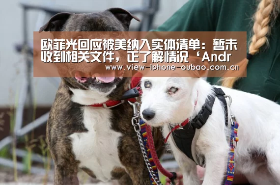 Android下载