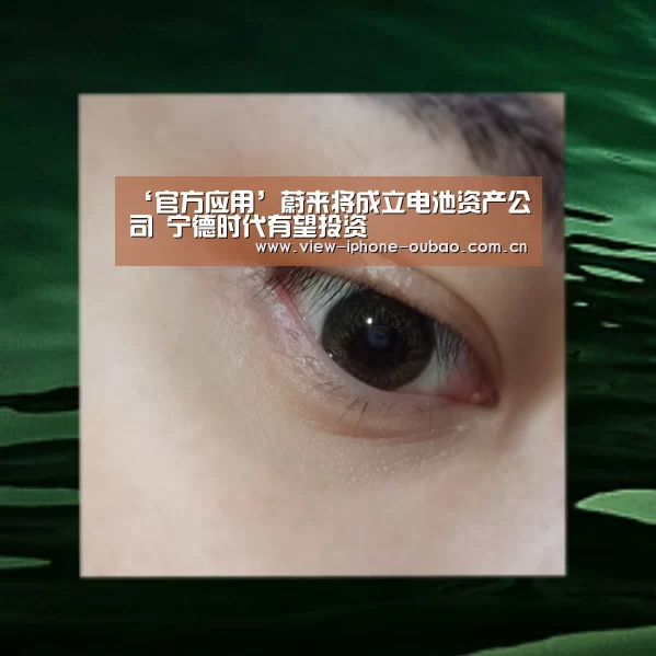 ‘官方应用’蔚来将成立电池资产公司 宁德时代有望投资(图3) Android下载