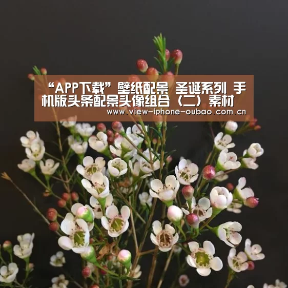 Android下载
