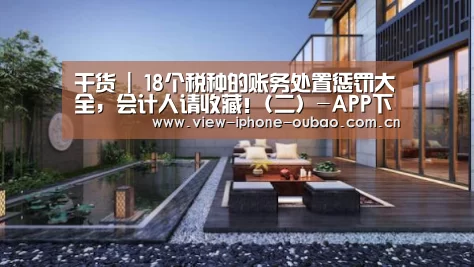 干货 | 18个税种的账务处置惩罚大全,会计人请收藏!(二)-APP下载(图2) APP下载